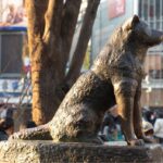 hachiko - skena.generaz.id